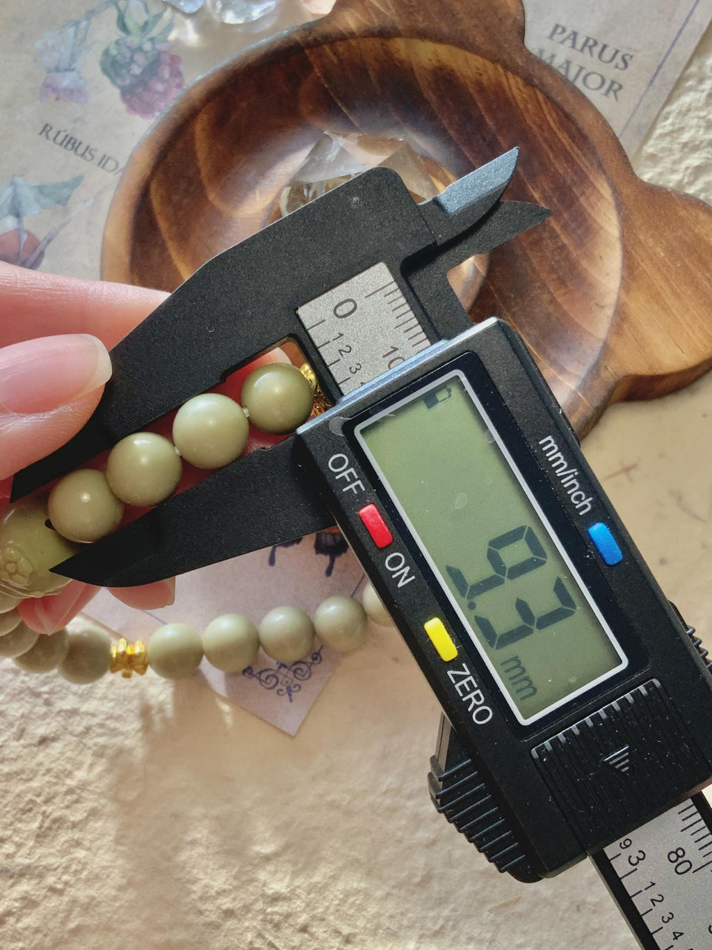 Soft Green Honey Bear Cookie Alashan Agate Bracelet
